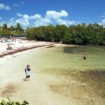 Best Places To Snorkel in Florida