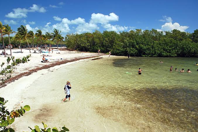 Best Places To Snorkel in Florida