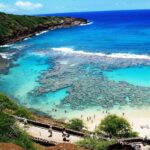 Best Places to Snorkel in Oahu