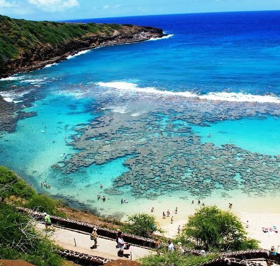 Best Places to Snorkel in Oahu